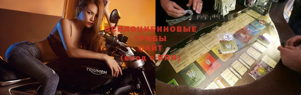 спайс Алексин