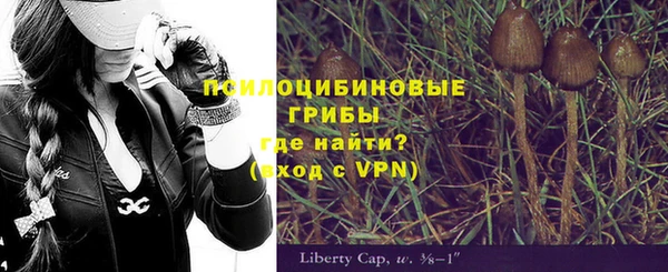 спайс Алексин