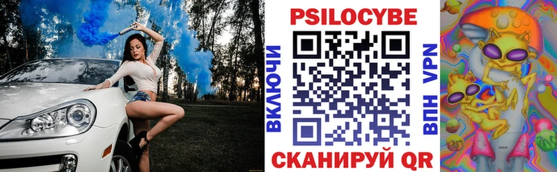 МЕГА ТОР Николаевск Галлюциногенные грибы прущие грибы закладки