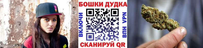 хочу наркоту  Николаевск  Бошки Шишки семена 